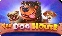 Amunra Casino offre il gioco online The Dog House